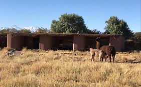 Eco-Lodge El Andinista
