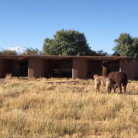Eco-Lodge El Andinista San Pedro de Atacama Exterior foto